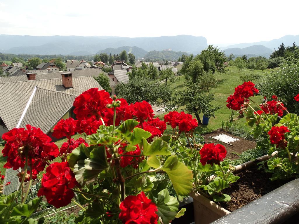Garden Apartments Maria Bled Exteriér fotografie
